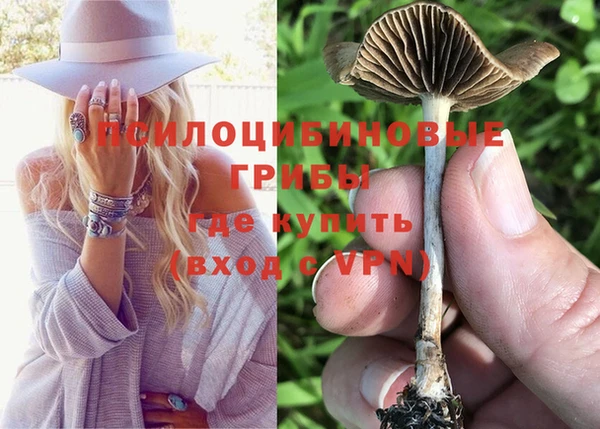 первитин Армянск