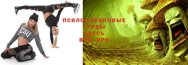 apvp Аркадак
